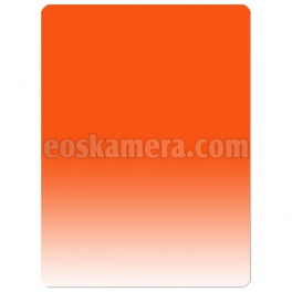 Tianya Z Gradual Sunset